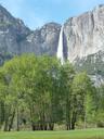 yosemite-mountains-woods-roadtrip-1025497.jpg