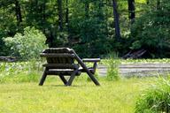 bench-wooden-bench-lakeside-seat-216691.jpg