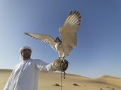 falcon-uae-desert-hunter-claws-1264605.jpg