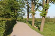 summer-cozy-small-road-665461.jpg