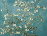 Vincent_van_Gogh_-_Almond_Blossom_-_VGM_F671.jpg