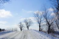 winter-landscape-tree-nature-948595.jpg