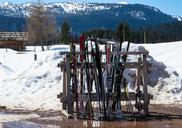 skiing-ski-winter-ski-poles-1103829.jpg