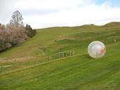 zorb-zorbing-rolling-downhill-1532366.jpg