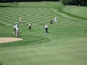 golf-golfers-fairway-252209.jpg