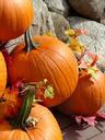 pumpkin-autumn-fall-fruit-511238.jpg