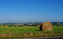 straw-straw-bales-meadow-sky-blue-85830.jpg