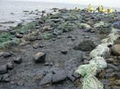 Workers clean up after oil spill.jpg