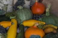 still-life-fruit-pumpkins-928952.jpg