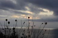 ocean-silhouette-beach-631747.jpg