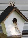 birdhouse-nesting-white-wood-199380.jpg