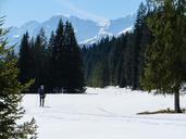 skiing-cross-country-skiing-ski-1103830.jpg