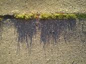 grass-asphalt-shadow-570748.jpg