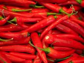 chili-red-sharp-spice-499063.jpg