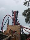 roller-coaster-fun-650562.jpg