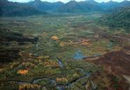 Vivid hues begin to appear on trees and tundra.jpg