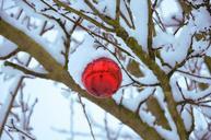 snow-sphere-christmas-decoration-936792.jpg