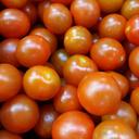 fresh-tomatoes-organic-tomato-food-1375889.jpg