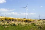 wind-turbine-power-energy-15280.jpg