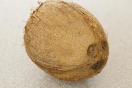 coconut-brown-nut-healthy-757769.jpg