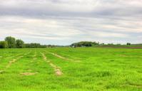 Gfp-southern-wisconsin-farmland-and-sky.jpg