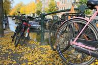 amsterdam-bicycles-channels-autumn-1021456.jpg