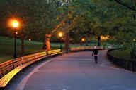 park-inwood-hill-night-walking-476871.jpg