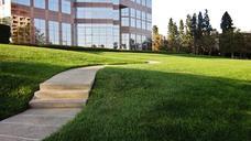 sidewalk-street-grass-green-tan-56876.jpg