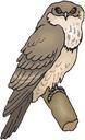 owl-bird-branch-wings-animal-beak-46506.svg