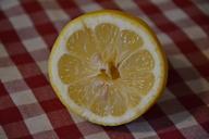 lemon-butterfly-goes-fruit-vitamin-327930.jpg