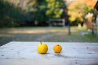 citrus-fruits-real-citron-648317.jpg