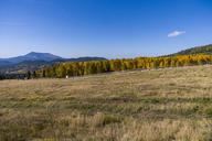 View_from_the_Arizona_Snowbowl.jpg