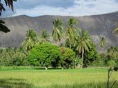 farm-ja%C3%A9n-peru-1014739.jpg