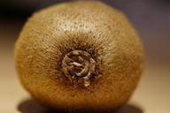 kiwi-after-recording-vitamins-fruit-233763.jpg