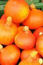 pumpkin-autumn-helloween-gourd-1028205.jpg