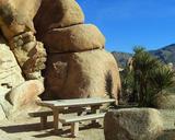 joshua-tree-national-park-5105.jpg