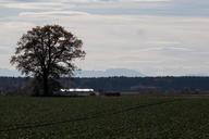 hair-dryer-landscape-mountains-199475.jpg