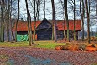 barn-wood-barn-forest-lodge-671146.jpg