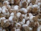 garlic-tubers-heads-of-garlic-food-73924.jpg