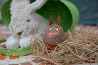 easter-egg-easter-bunny-easter-491677.jpg