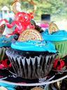 cupcakes-blue-coin-food-sweet-67190.jpg