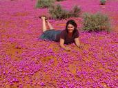 wildflowers-woman-outback-australia-1233594.jpg