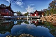 japanese-garden-pond-relaxation-koi-752918.jpg