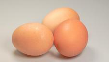 eggs-food-round-brown-541763.jpg