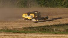 agriculture-field-landscape-harvest-396487.jpg