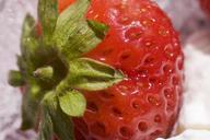 strawberry-whipped-cream-cream-421609.jpg