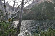 pond-mountains-tree-branches-view-218445.jpg