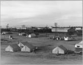 Eloy,_Pinal_County,_Arizona._Close-up_of_a_squatter_camp_-_NARA_-_522274.jpg