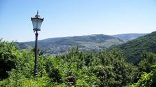 lantern-vineyards-nature-landscape-774241.jpg