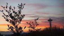 seattle-sunset-space-needle-evening-420319.jpg